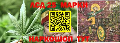 прущие грибы Будённовск
