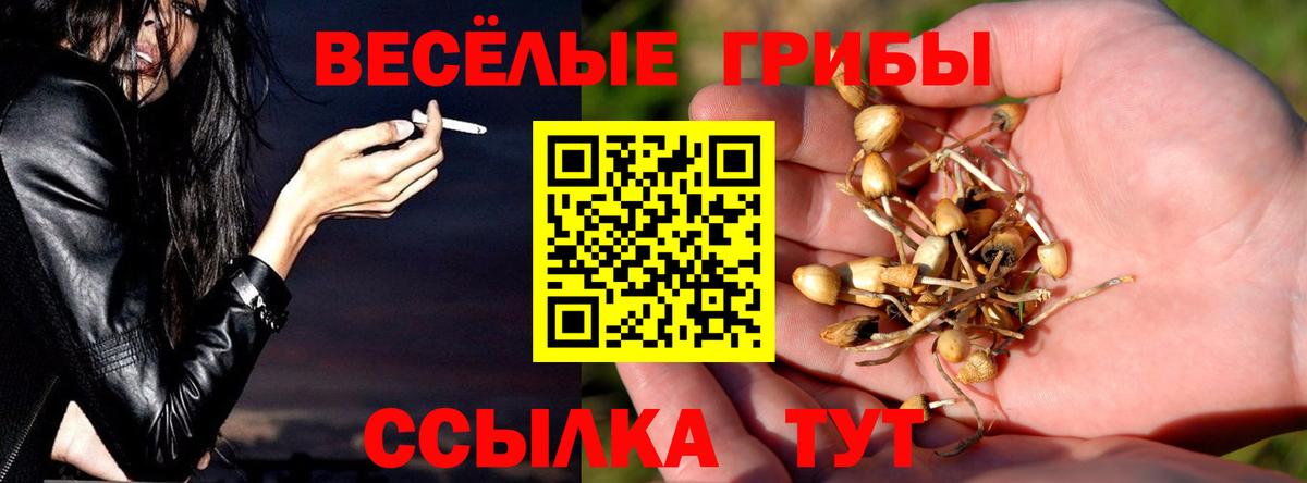Миллерово  Псилоцибиновые грибы GOLDEN TEACHER  Вход с VPN  Галлюциногенные грибы мухоморы 